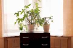 Дом престарелых Алматы Выборгская комната