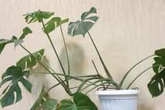 Дом престарелых Алматы на Выборгской