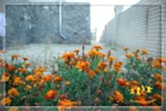 дома престарелых в алматы за пенсию