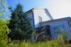 дом престарелых тенистый