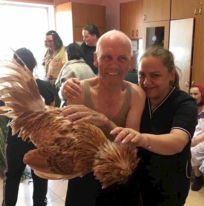 организация досуга в доме престарелых