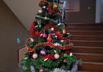 новый год и рождество в доме престарелых город алматы